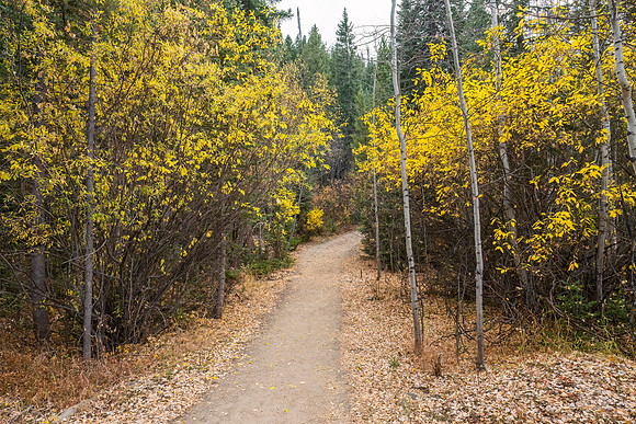 East_Shore_Trail_RMNP_2024_3